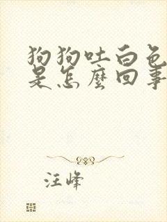 狗狗吐白色沫沫是怎么回事