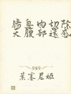 肠息肉切除12天腹部还感觉痛