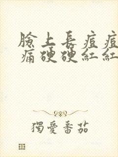 脸上长痘痘还痛痛硬硬红红的