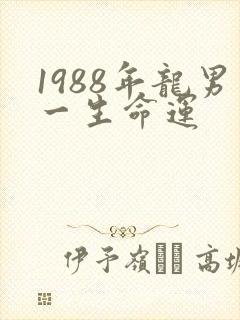 1988年龙男一生命运