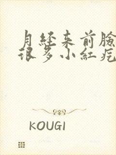 月经来前脸上起很多小红疙瘩