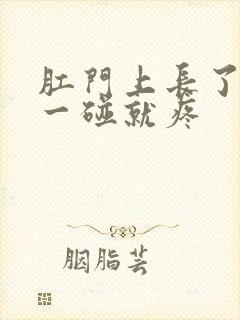 肛门上长了个包一碰就疼