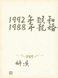 1992年猴和1988年龙婚姻如何