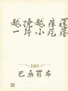 越挠越痒还会起一片小疙瘩