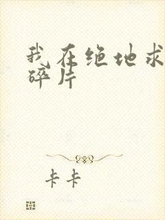 我在绝地求生捡碎片