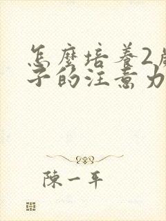 怎么培养2岁孩子的注意力和专注力