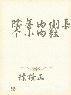 阴唇内侧长了一个小肉粒封面