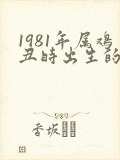 1981年属鸡丑时出生的命运