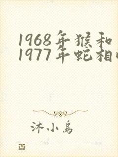 1968年猴和1977年蛇相配吗
