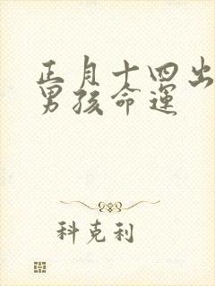 正月十四出生的男孩命运