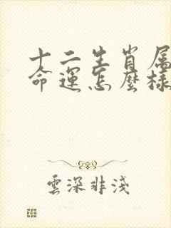 十二生肖属羊的命运怎么样