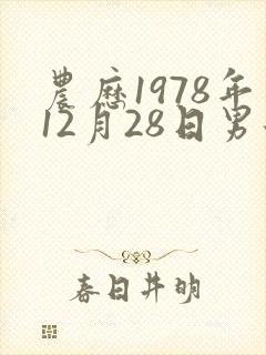 农历1978年12月28日男士命运