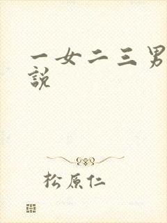 一女二三男事小说封面