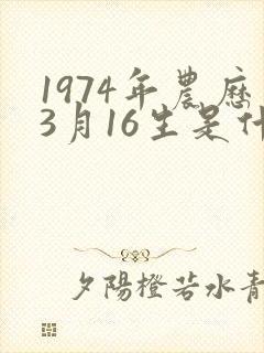 1974年农历3月16生是什么命