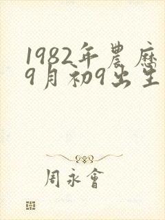 1982年农历9月初9出生命运