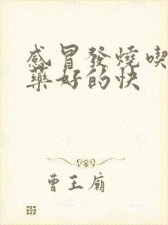 感冒发烧吃什么药好的快封面