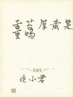 舌苔厚黄是湿气重吗封面