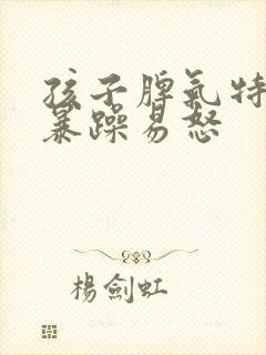 孩子脾气特别大暴躁易怒