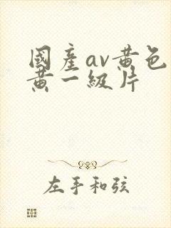 国产av黄色特黄一级片封面