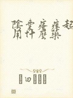 阴囊瘙痒起外皮用什么药