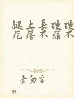 腿上长硬硬的小疙瘩不痛不痒封面