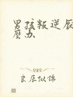 男孩叛逆厌学怎么办封面