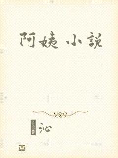 阿姨 小说