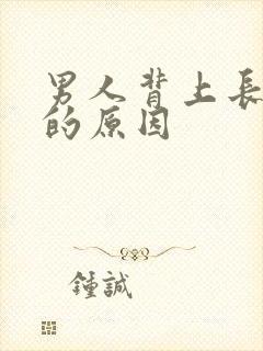 男人背上长痤疮的原因