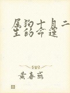 属狗十月二十出生的命运封面