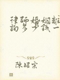 律师婚姻离婚咨询多少钱一次费用