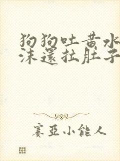 狗狗吐黄水带泡沫还拉肚子