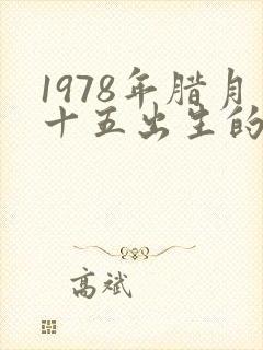 1978年腊月十五出生的命运