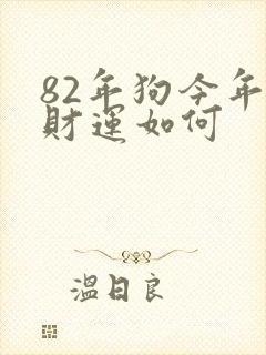 82年狗今年的财运如何