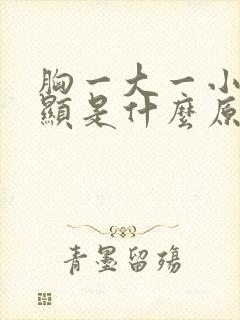 胸一大一小很明显是什么原因封面