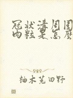 冠状沟周围长小肉粒是怎么回事封面