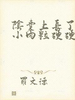 阴囊上长了一个小肉粒硬硬的封面