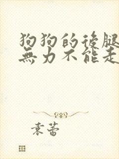 狗狗的后腿突然无力不能走路了封面