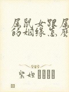 属鼠女跟属羊男的姻缘怎么样