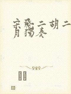 宋飞二胡二泉映月独奏