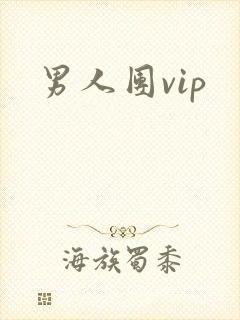 男人团vip