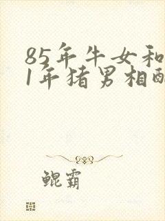 85年牛女和71年猪男相配问题