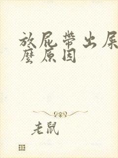 放屁带出屎是什么原因