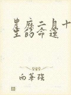 农历二月十七出生的命运封面