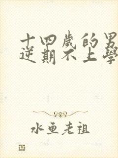 十四岁的男孩叛逆期不上学封面