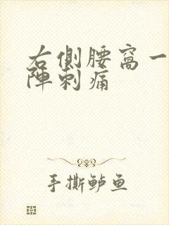 右侧腰窝一阵一阵刺痛