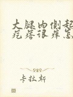 大腿内侧起红色疙瘩很痒怎么回事封面