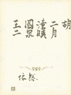 王国潼二胡独奏二泉映月