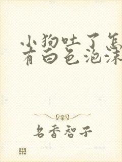 小狗吐了怎么办有白色泡沫