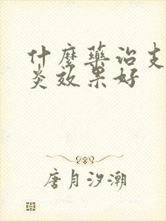 什么药治支气管炎效果好封面