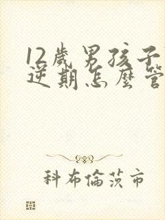 12岁男孩子叛逆期怎么管教最合适